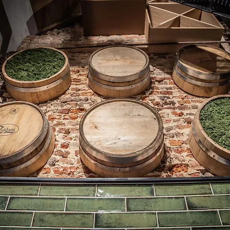 Graaf Ter Bed & Breakfast