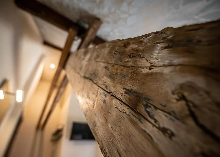 Bed and breakfast Graaf Ter