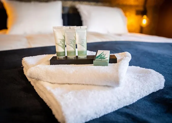 Bed and breakfast Graaf Ter